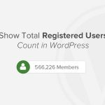 numero utenti registrati su sito WordPress