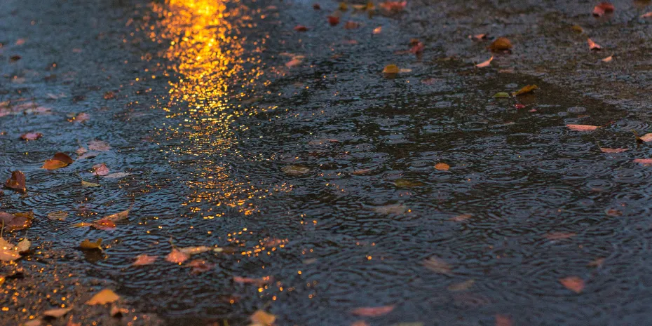 I migliori plugin meteo per WordPress