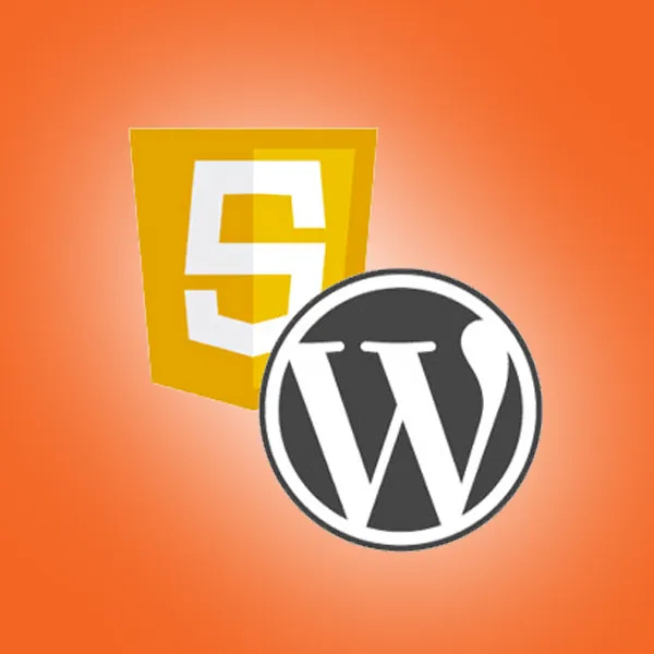 Come inserire codice JavaScript su WordPress