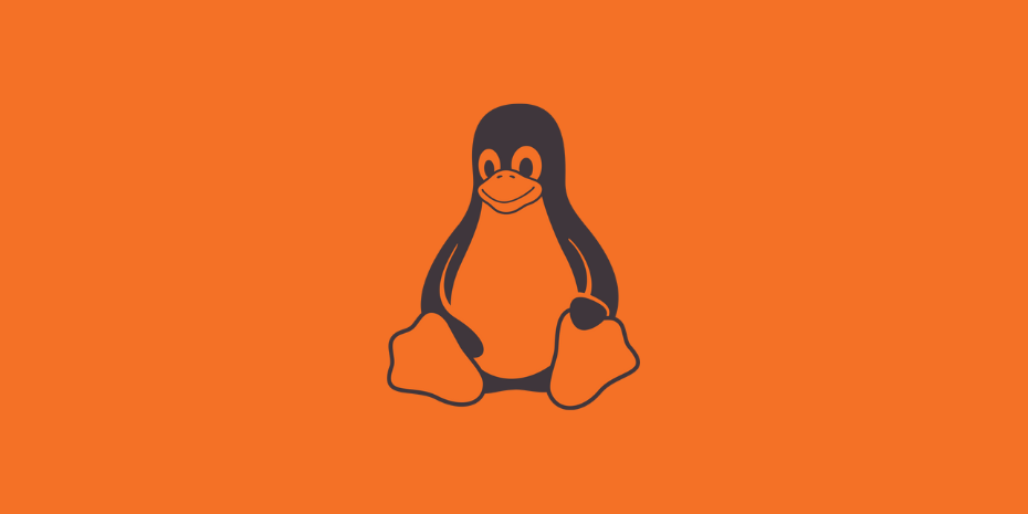 Cos'è l'hosting linux