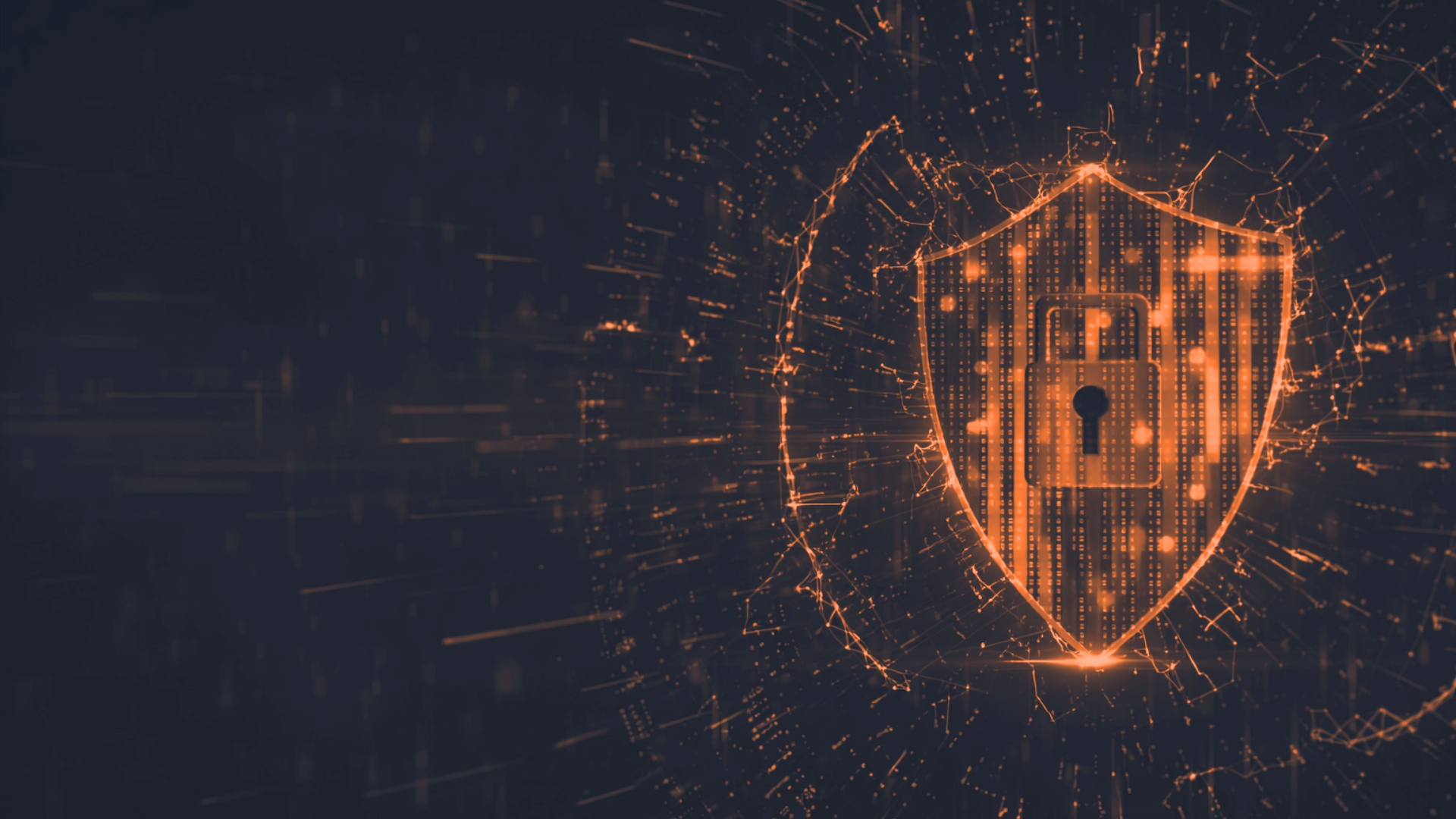 Firewall applicativo (WAF): cos’è, come funziona e quando serve