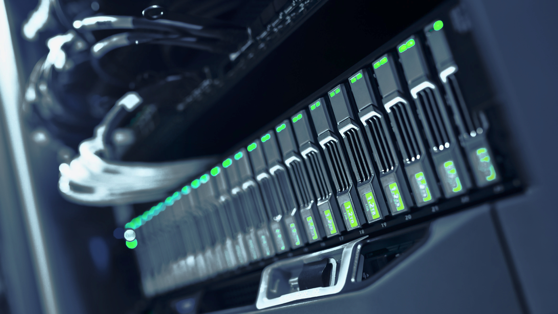 Database WordPress troppo grande: cause, rischi e cosa controllare